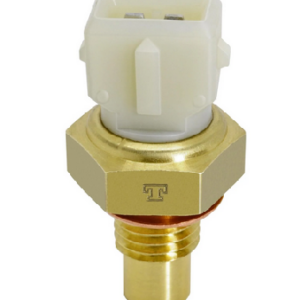 PLUG ELETRONICO RENAULT CLIO LAGUNA R19 TRAFIC