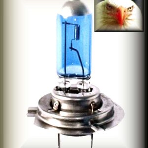 LAMPADA FAROL H7 100W - 12V